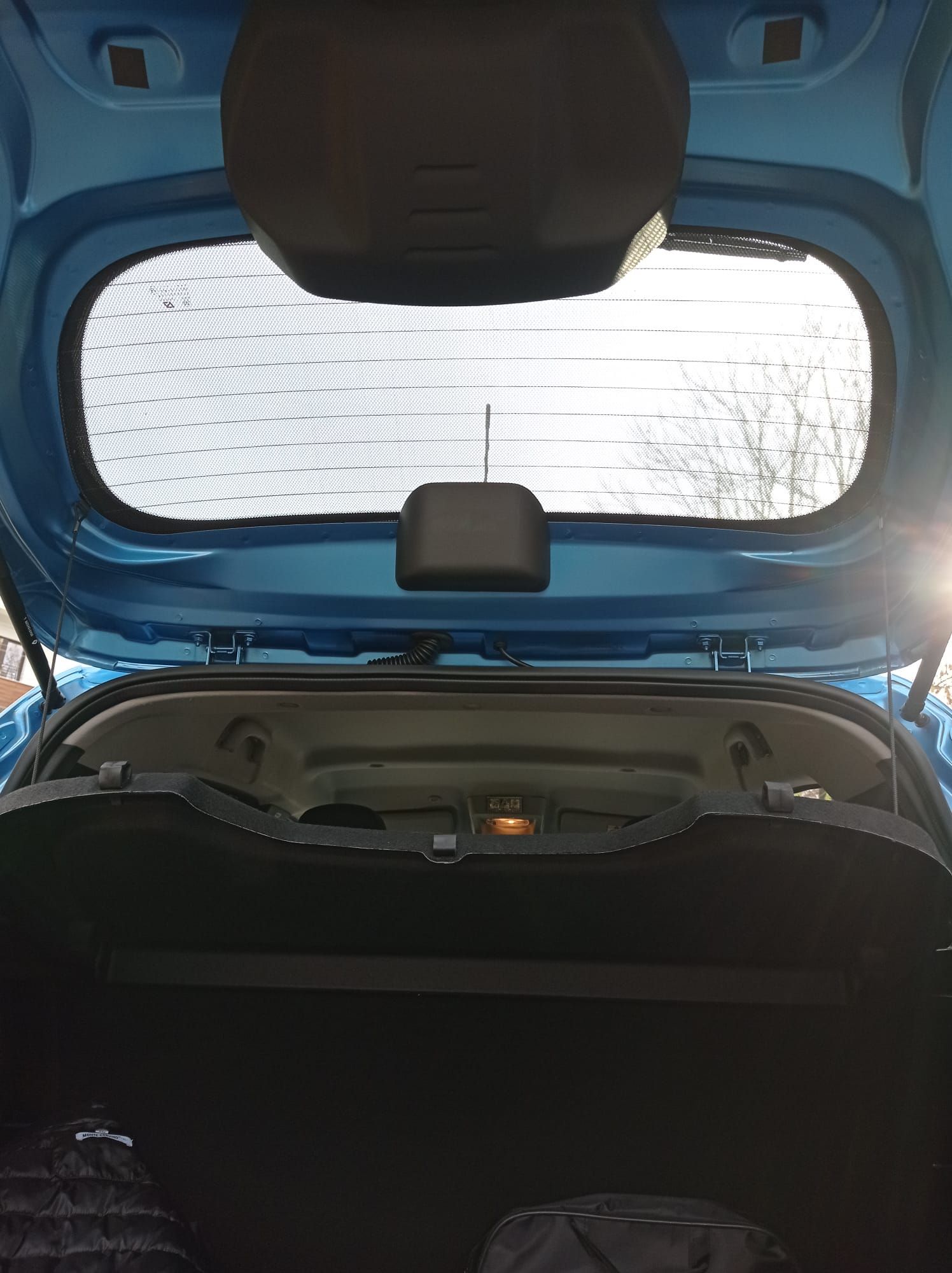 Perdele interior Dacia Spring 2021->