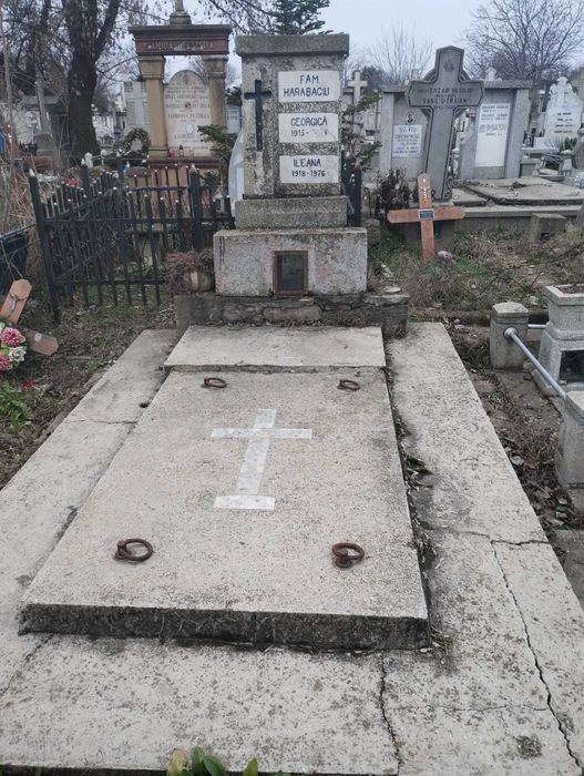 Loc de veci cimitir Eternitatea