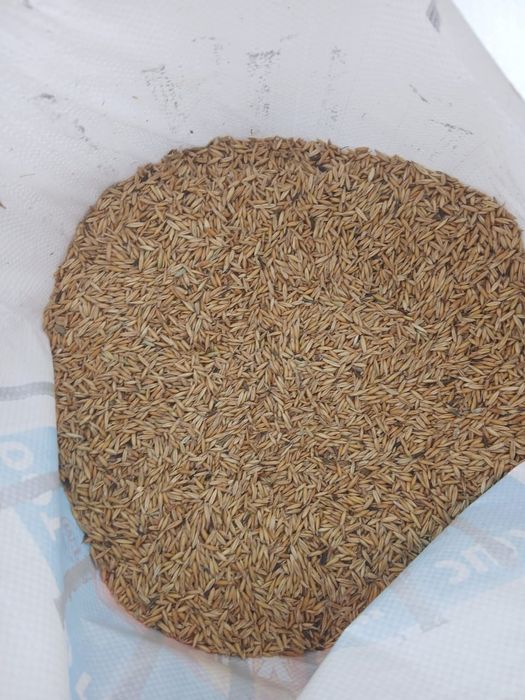 Продам овёс в мешках