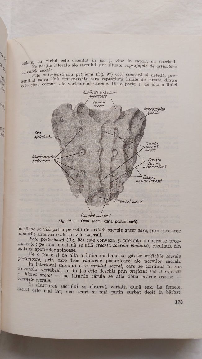 Carte medicina Anatomia si Fiziologia Omului