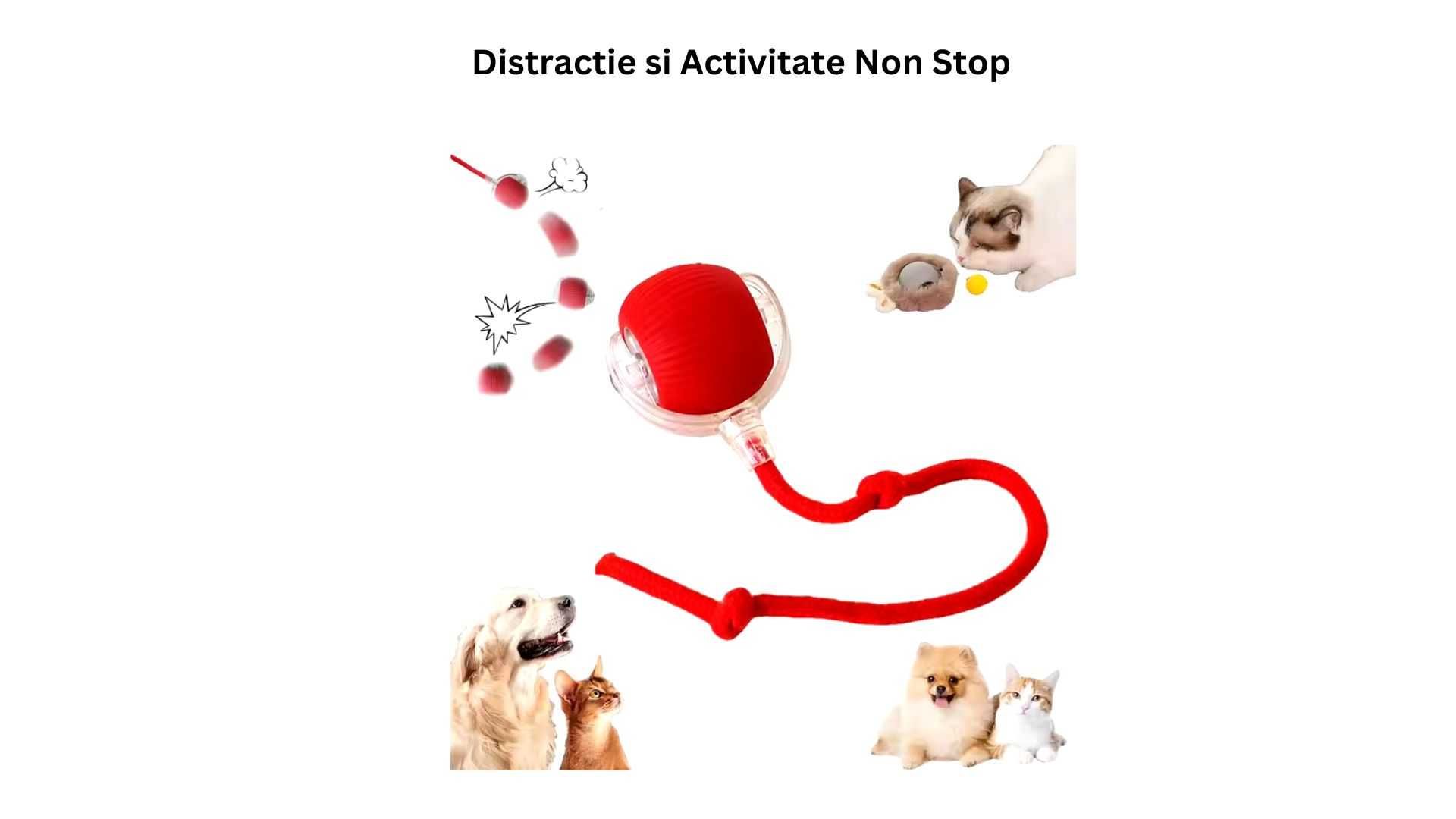 Jucarie Interactiva Pisica - minge