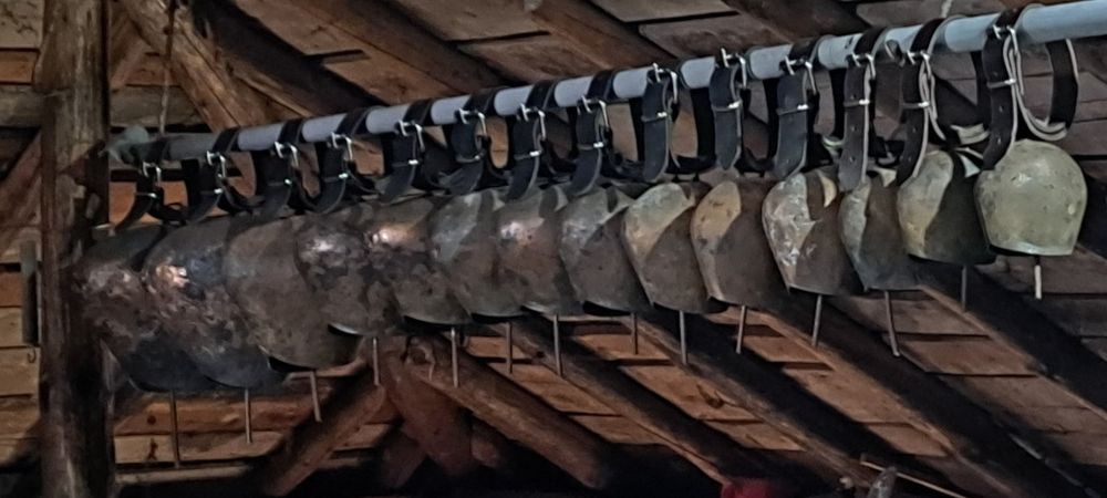 Хлопки. Чанове. Чан