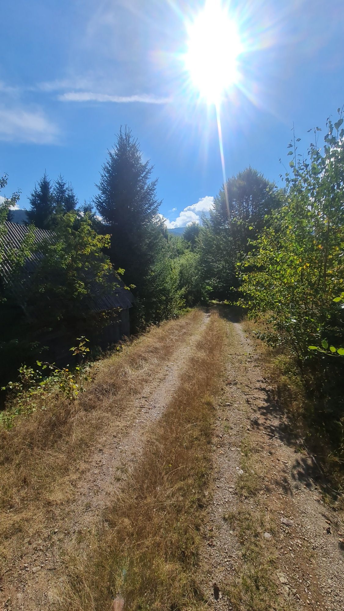 Vând teren zona Arieseni 2090mp