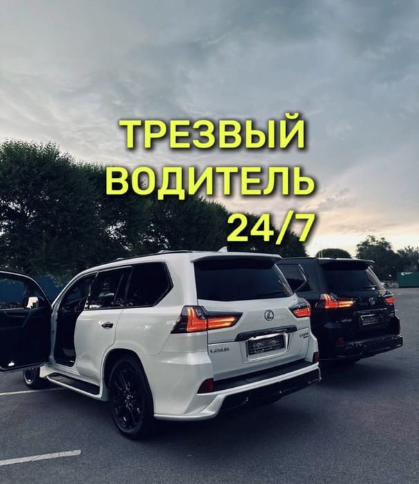 Трезвый Водитель