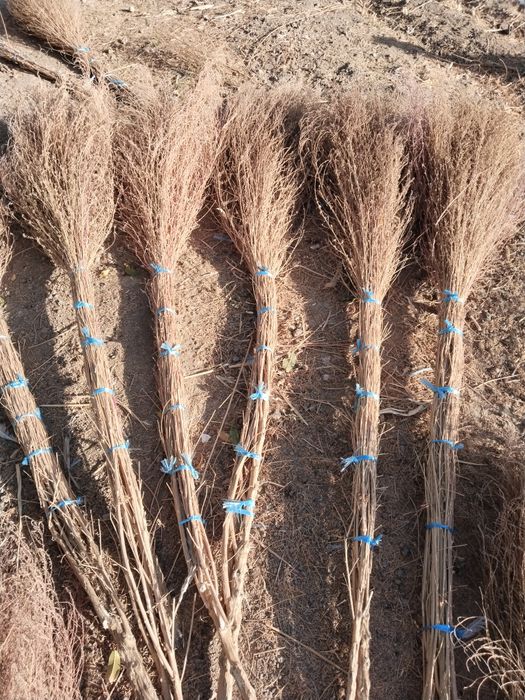 Hovli shuprgi 80 ta bor 25 ming som optom oladganla kesin 80 ta bor