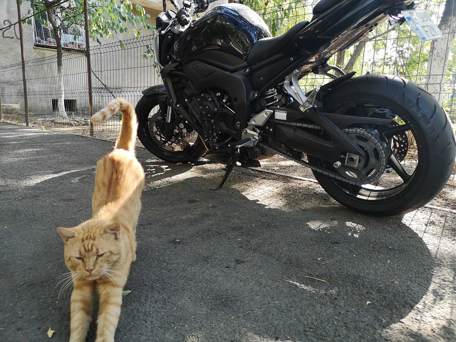 Vand motocicleta Yamaha FZ 1 N  (Naked) - an 2007, 35000 km