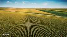 Teren Extravilan Agricol