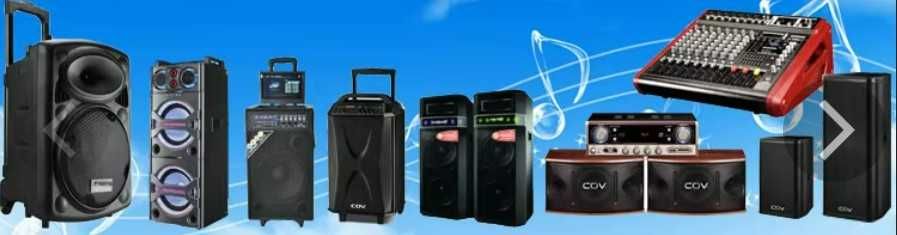 Аудио аппаратура COV Audio, караоке, профессиональные системы COV