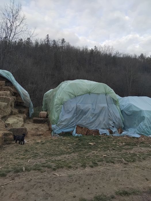 Vând baloti lucerna