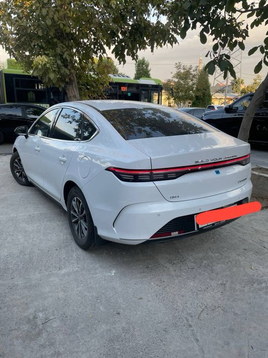 Byd chazor kraskasi tozza