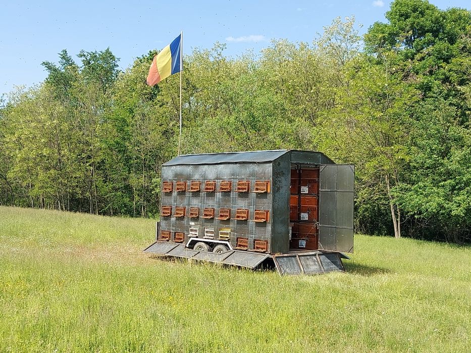 Vând remorca apicola