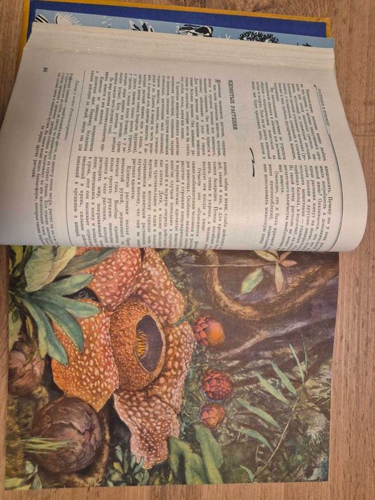 Детска енциклопедия, томове от 1 до 5