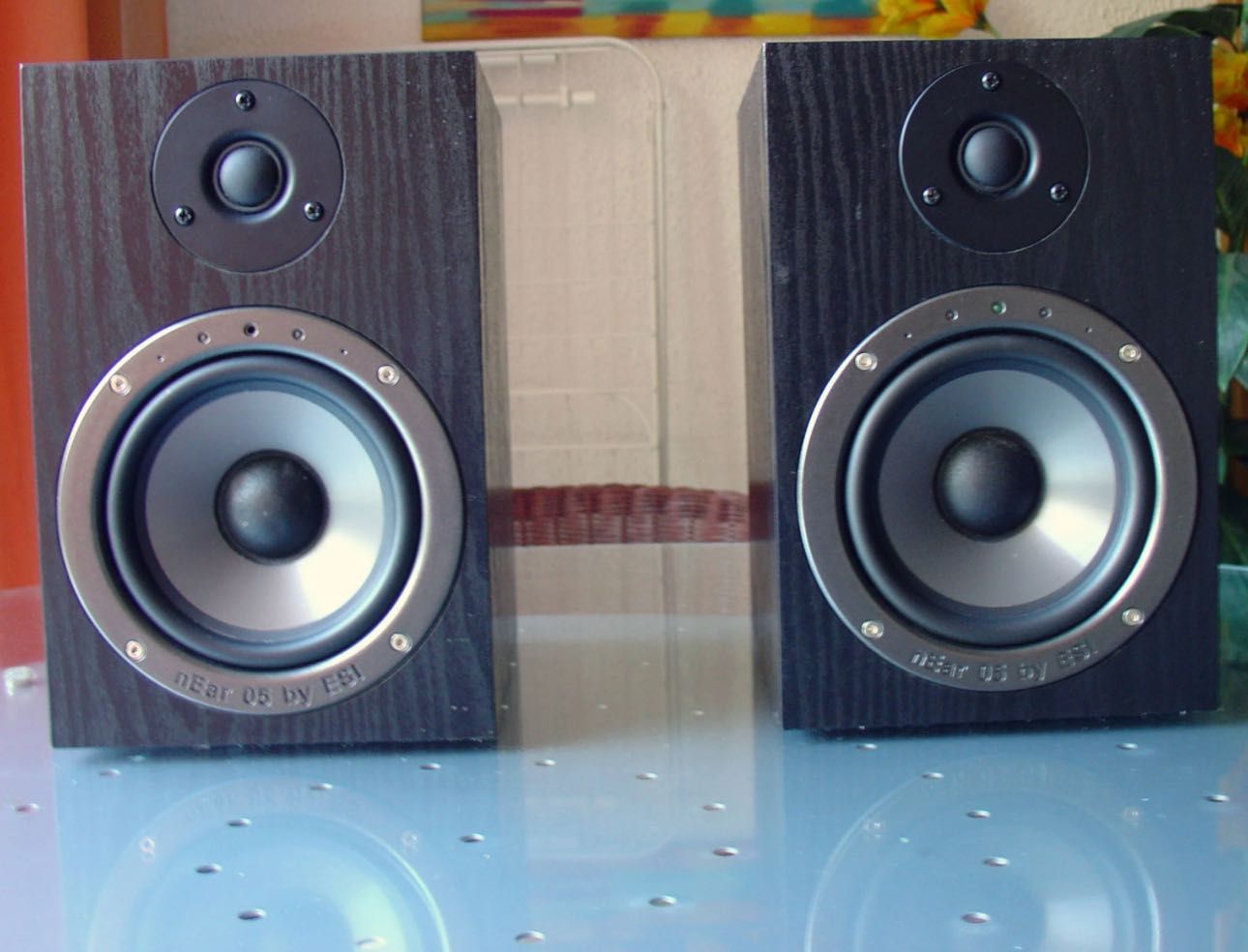 Studio monitori esi 5