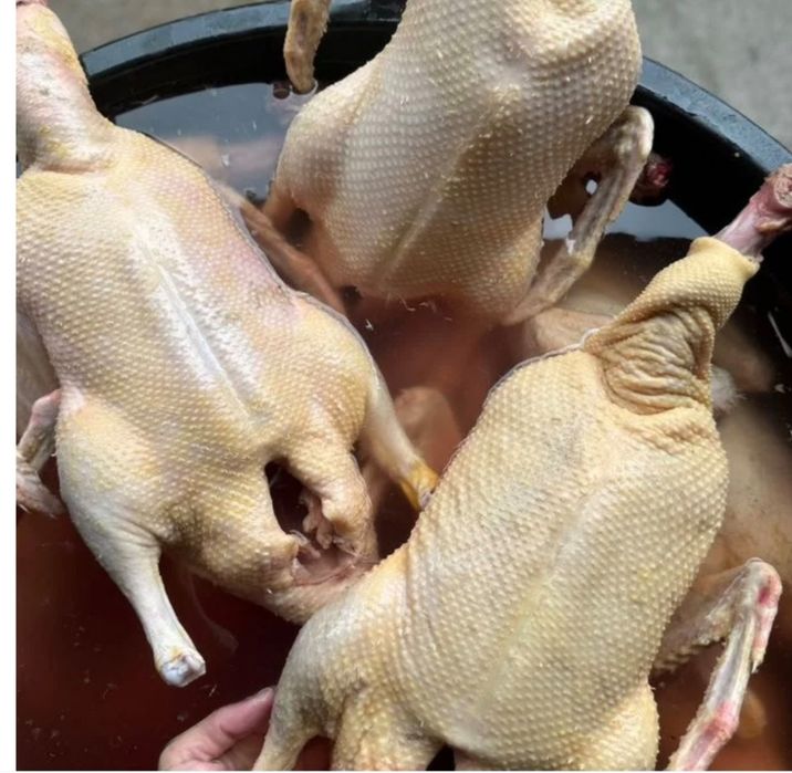 Продам Гусей опт3900тг, роз 4200