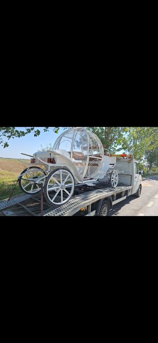 Trasura glob!trasura