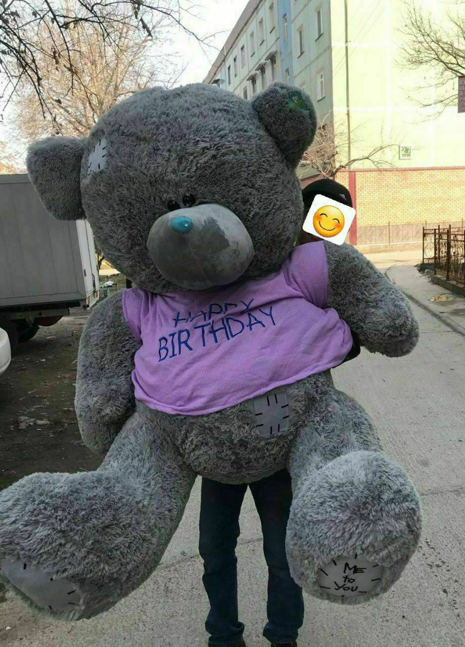 Teddy ayiqlari va yumshoq oyinchoqlar