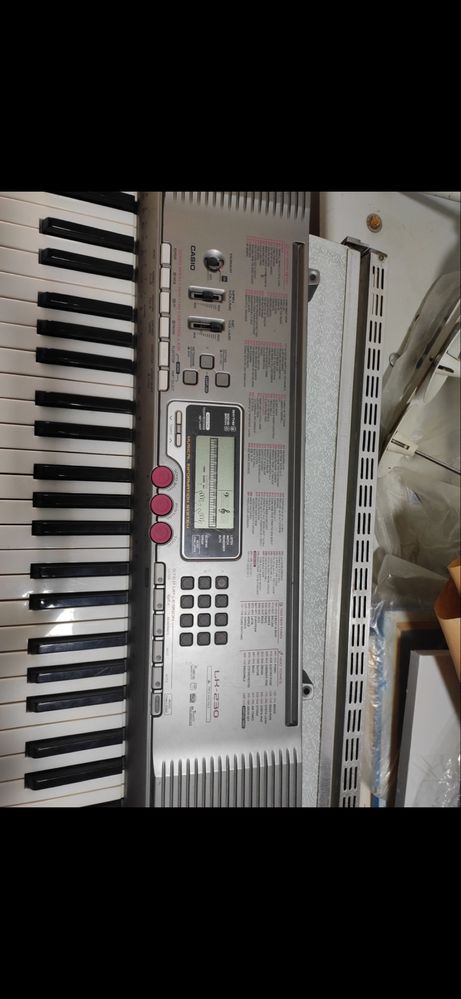 Электронная пианино Casio
