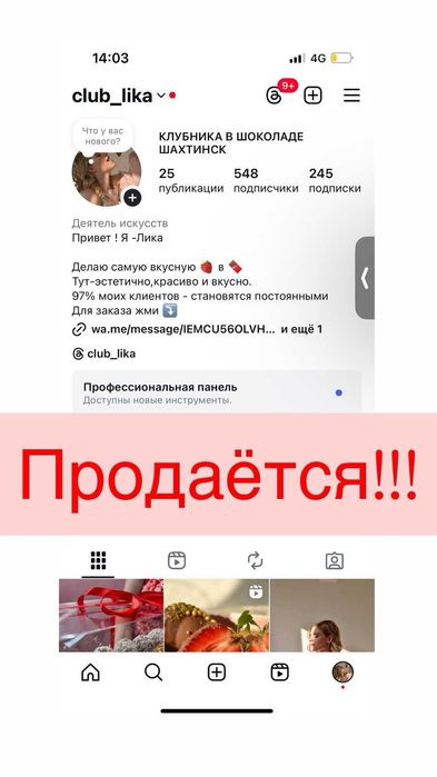 Продаётся готовый малый бизнес под ключ — клубника в шоколаде