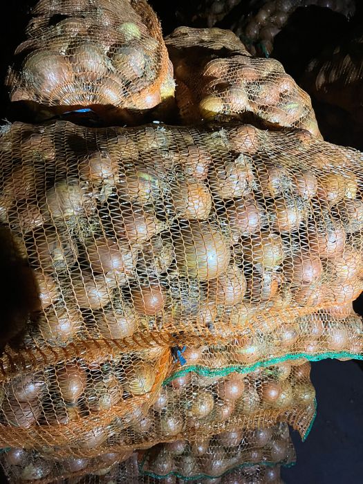 Ceapa rotunda diamant