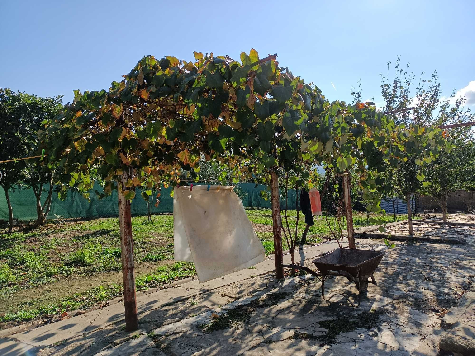 Продавам къща в село Черни Бряг община Антоново