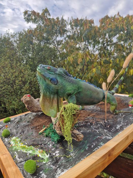 Iguana exotica impaiata