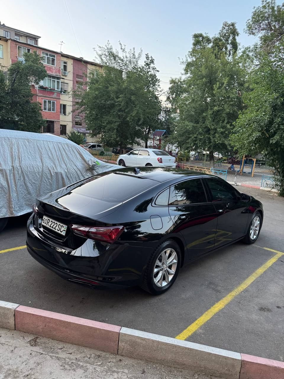 Malibu primer 2021 black edition