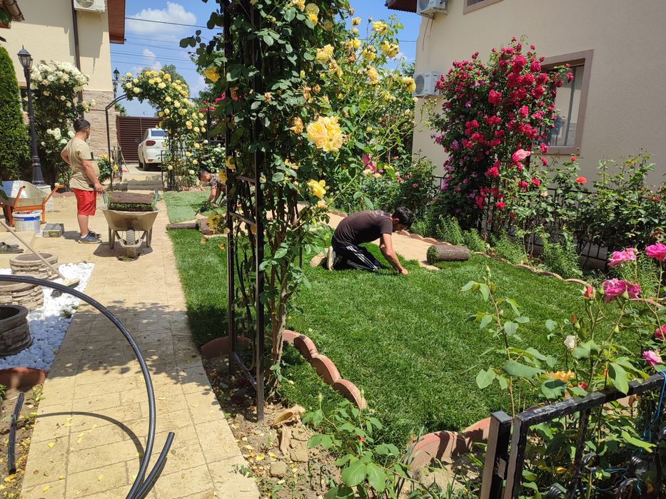 Gazon rulou sport 24 de lei m2 transport și montaj inclus în preț.