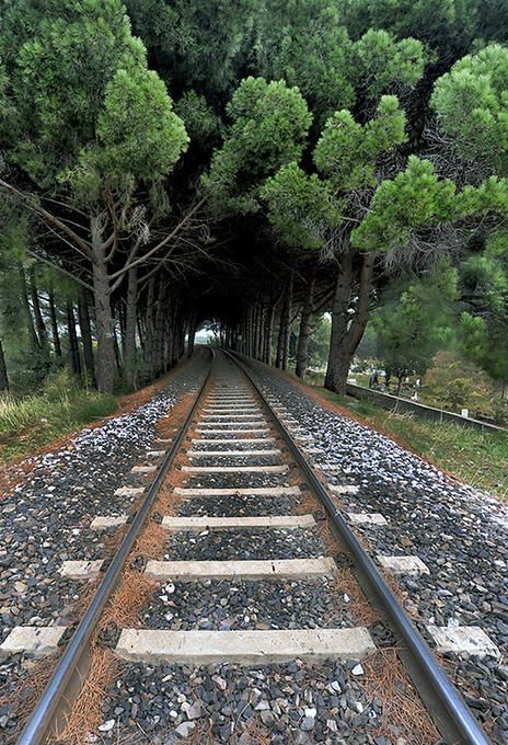 Рельсы rels temir yol