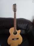 Chitară electroacustica 12 corzi Brunswick