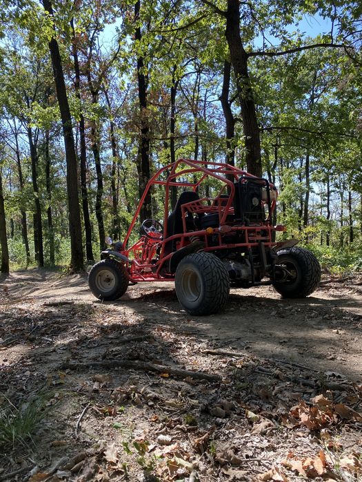 Buggy motor 260cm