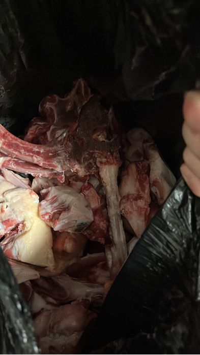 Продам Кости говяжьи САХАРНЫЕ