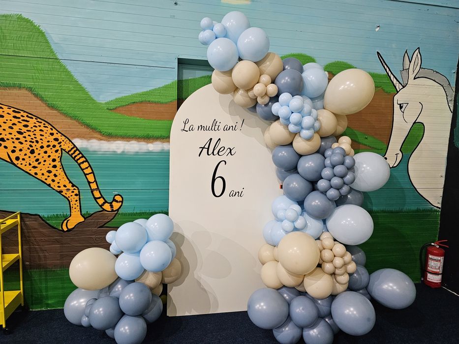 Baloane heliu , decor baloane timisoara