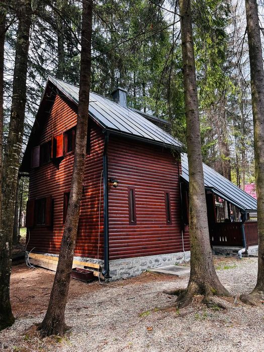 De vânzare Casă de vacanță la Izvorul Muresului