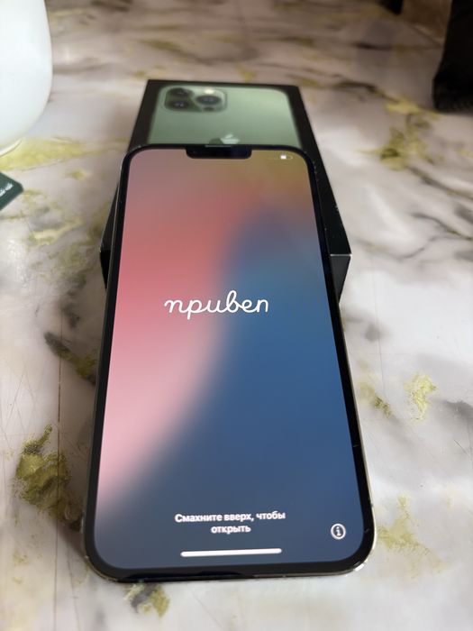 iPhone 13 Pro Max