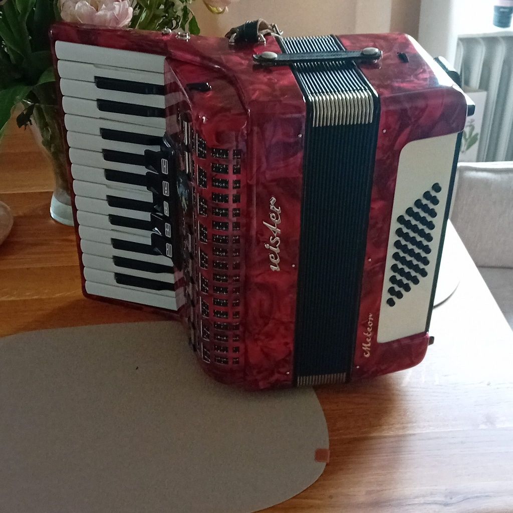 Acordeon Weltmaister Meteor 40 Bași,5 Registre Impecabil ca Nou,