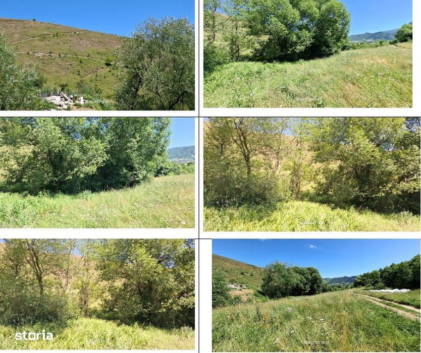 Teren 5000 mp, Loc. Sieu, Jud Maramures