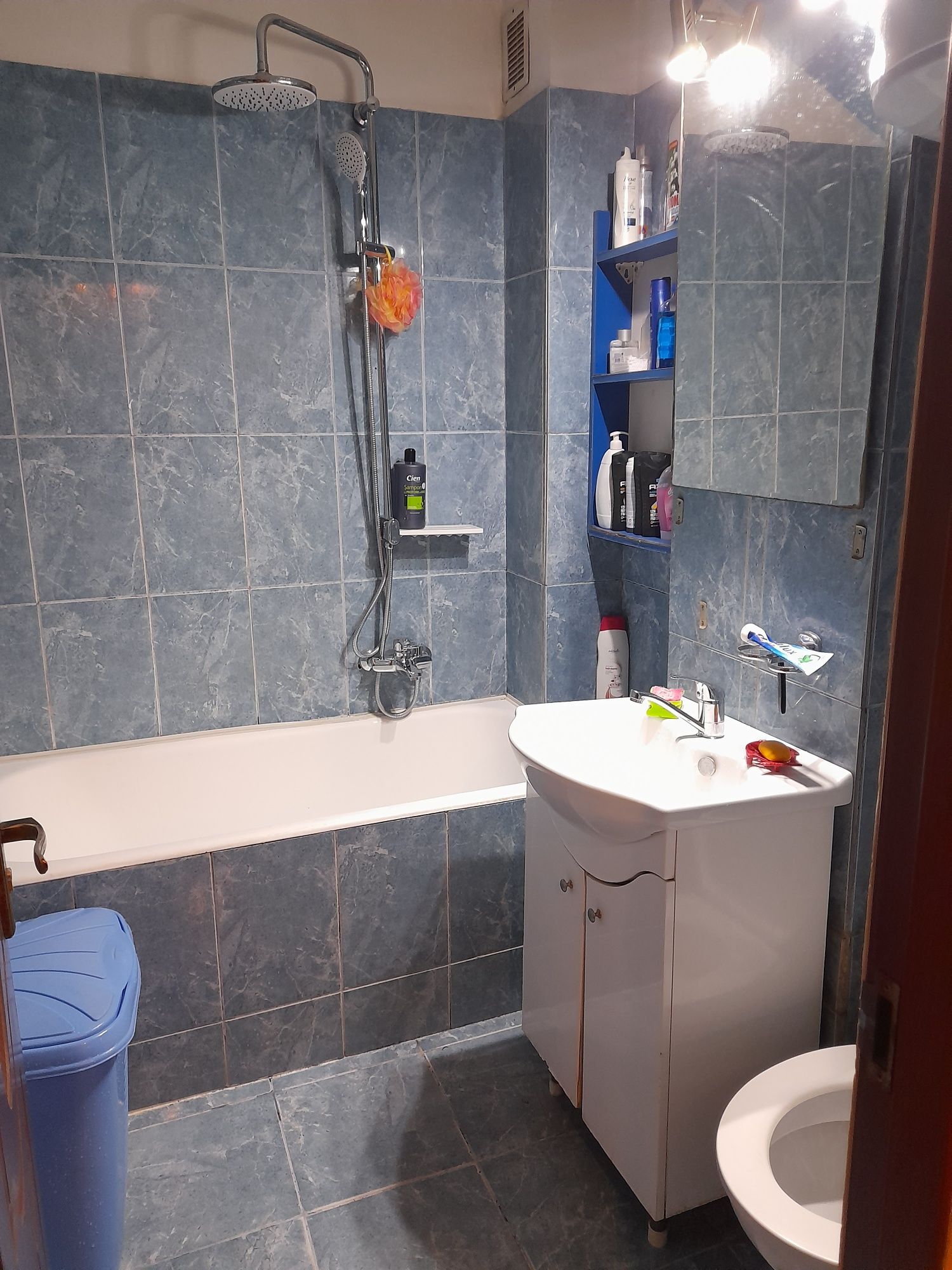 Apartament de vânzare peste luncoi