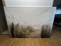 Vand tablou 200x140 cm