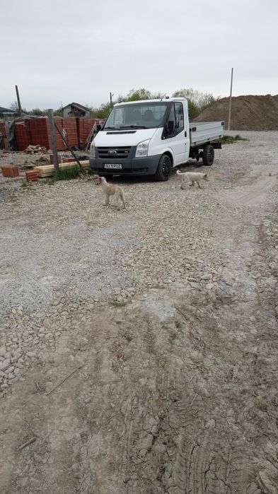 Ford transit 2.2