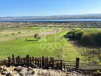 Teren extravilan de vanzare 4045 mp in zona Tileagd