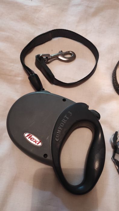 Lesa, zgarda piele și zgarda cu batic