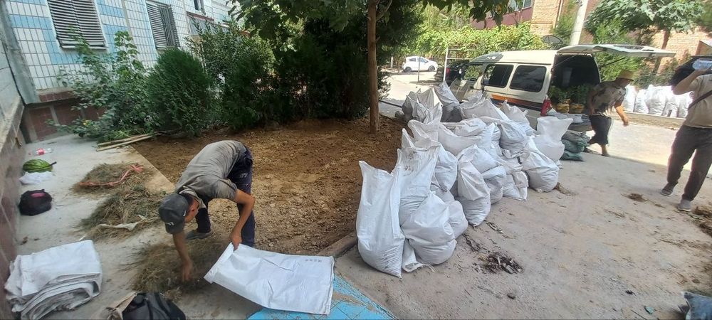 Gazon rulonniy газон рулонные и  посевной