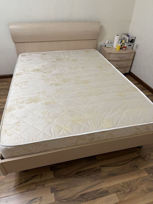 Мартрас Аскона даром