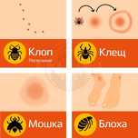 Дезенфекция дизенфекция дезинфекция дизинфекция dizinfeksiya