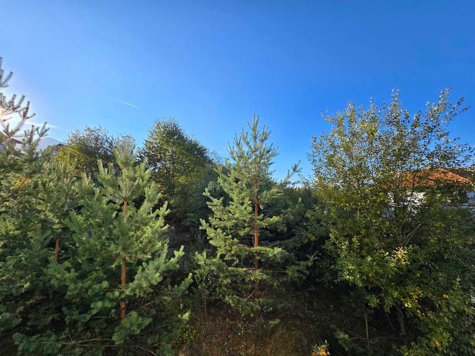 Продава се Двустаен апартамент в Банско - 54 кв.м за 1000 €/кв.м - Снимка #11