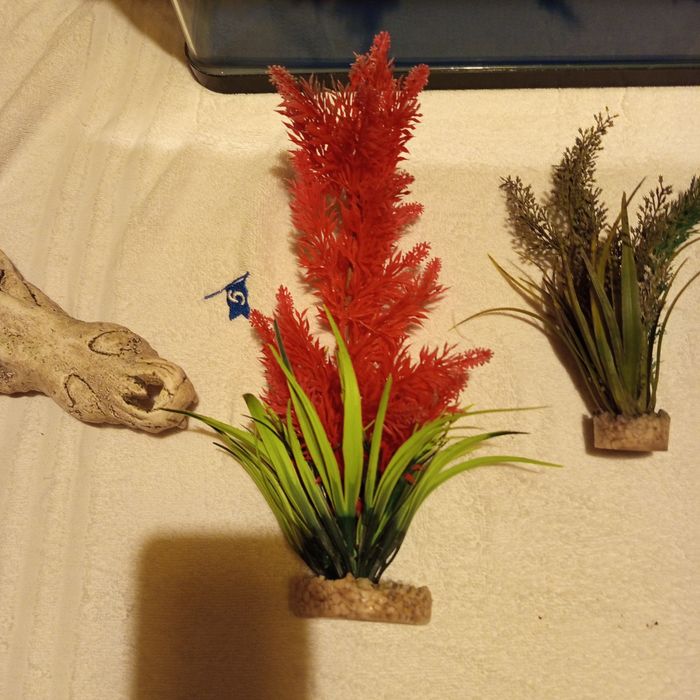 Аквариум 60л+цялостно обурудване