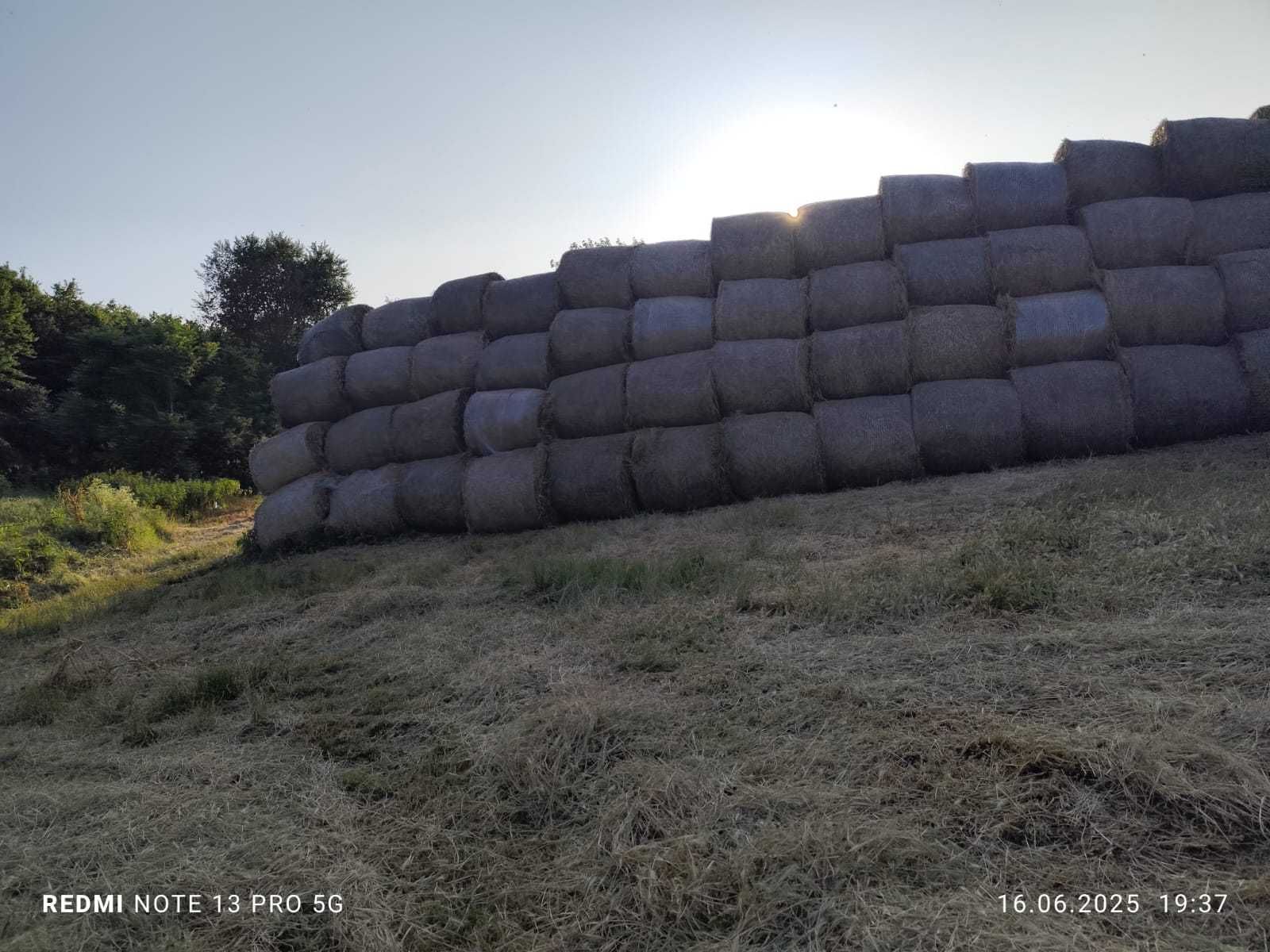 Vand Baloti lucerna cilindrici