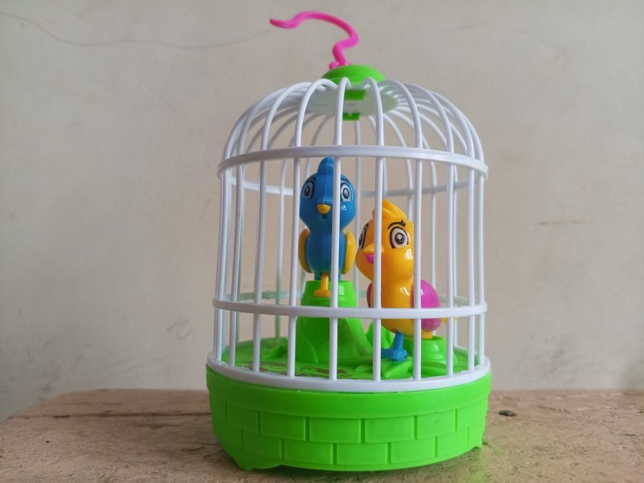 O'yinchoq Qushcha Sotiladi