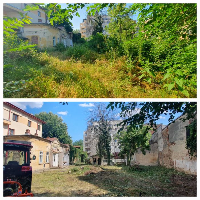 Salubrizare si igienizare terenuri si curti, intretinere