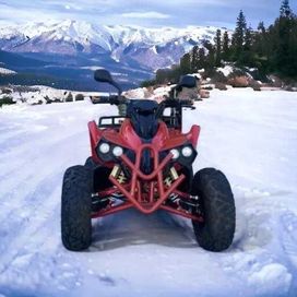 Бензиново ATV MaxMotors 200CC Gryzzly Sport- Red Devil